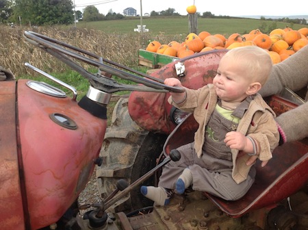 Grampa's Red Tractor