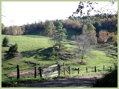 Dream Farm